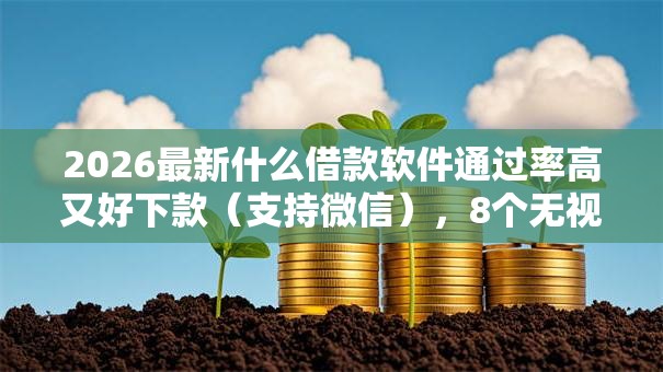 2026最新什么借款软件通过率高又好下款（支持微信），8个无视双黑下款5000的口子无私分享