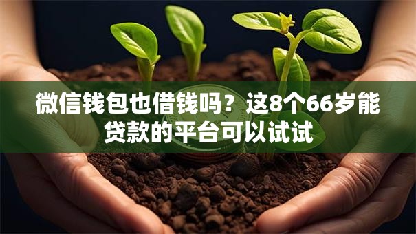 微信钱包也借钱吗?这8个66岁能贷款的平台可以试试 微信钱包也借钱吗?这8个66岁能贷款的平台可以试试