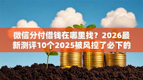 微信分付借钱在哪里找?2026最新测评10个2025被风控了必下的口子 微信分付借钱在哪里找?2026最新测评10个2025被风控了必下的口子
