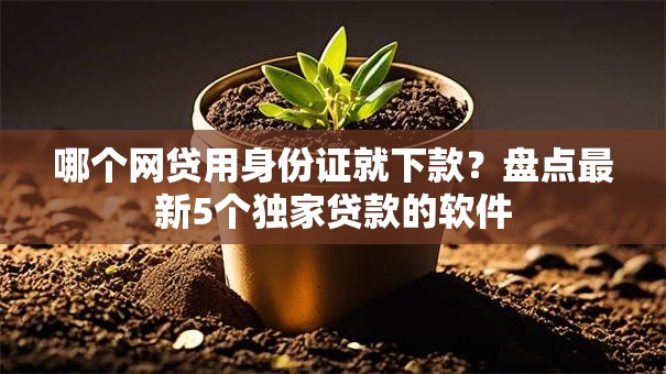 哪个网贷用身份证就下款？盘点最新5个独家贷款的软件