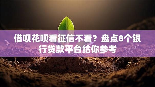 借呗花呗看征信不看？盘点8个银行贷款平台给你参考