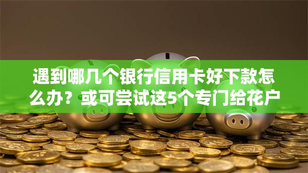 遇到哪几个银行信用卡好下款怎么办？或可尝试这5个专门给花户放款的平台