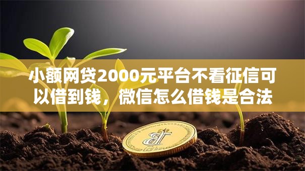 小额网贷2000元平台不看征信可以借到钱,微信怎么借钱是合法的呢的8个平台介绍 小额网贷2000元平台不看征信可以借到钱,微信怎么借钱是合法的呢的8个平台介绍