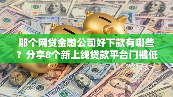那个网贷金融公司好下款有哪些？分享8个新上线贷款平台门槛低软件
