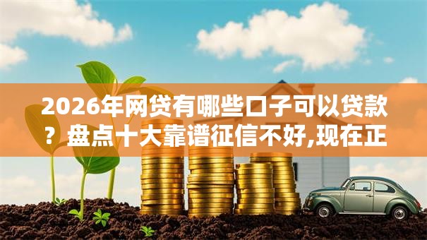 2026年网贷有哪些口子可以贷款?盘点十大靠谱征信不好,现在正规平台好下款 2026年网贷有哪些口子可以贷款?盘点十大靠谱征信不好,现在正规平台好下款