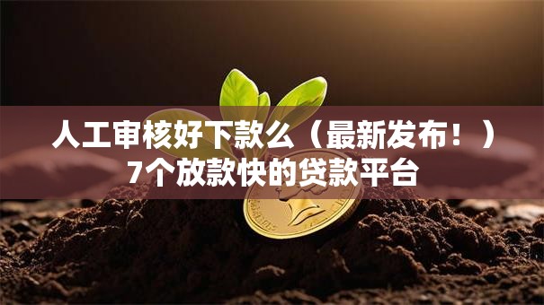 人工审核好下款么（最新发布！）7个放款快的贷款平台