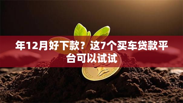 年12月好下款？这7个买车贷款平台可以试试