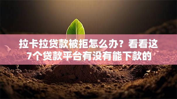 拉卡拉贷款被拒怎么办？看看这7个贷款平台有没有能下款的