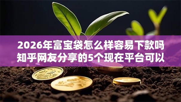 2026年富宝袋怎么样容易下款吗知乎网友分享的5个现在平台可以借钱我觉得不错！