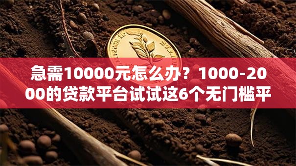 急需10000元怎么办?1000-2000的贷款平台试试这6个无门槛平台 急需10000元怎么办?1000-2000的贷款平台试试这6个无门槛平台