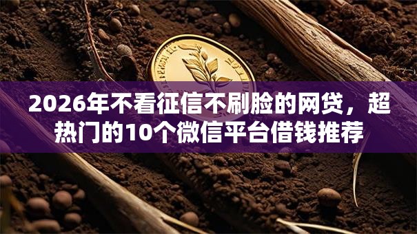 2026年不看征信不刷脸的网贷,超热门的10个微信平台借钱推荐 2026年不看征信不刷脸的网贷,超热门的10个微信平台借钱推荐