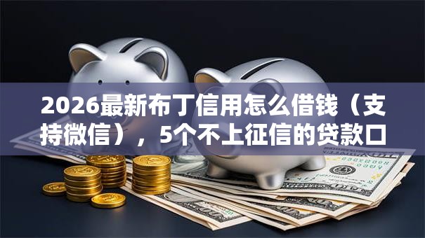 2026最新布丁信用怎么借钱(支持微信),5个不上征信的贷款口子无私分享 2026最新布丁信用怎么借钱(支持微信),5个不上征信的贷款口子无私分享