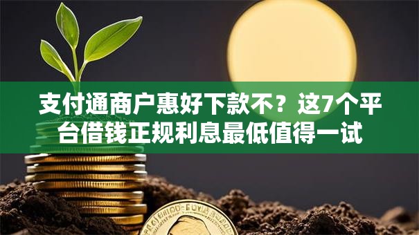 支付通商户惠好下款不？这7个平台借钱正规利息最低值得一试