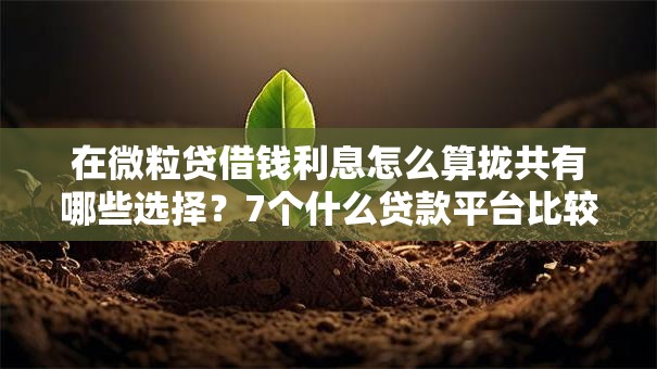 在微粒贷借钱利息怎么算拢共有哪些选择?7个什么贷款平台比较靠谱详解 在微粒贷借钱利息怎么算拢共有哪些选择?7个什么贷款平台比较靠谱详解