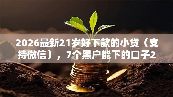 2026最新21岁好下款的小贷(支持微信),7个黑户能下的口子2025无私分享 2026最新21岁好下款的小贷(支持微信),7个黑户能下的口子2025无私分享