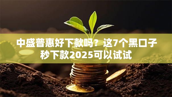 中盛普惠好下款吗?这7个黑口子秒下款2025可以试试 中盛普惠好下款吗?这7个黑口子秒下款2025可以试试