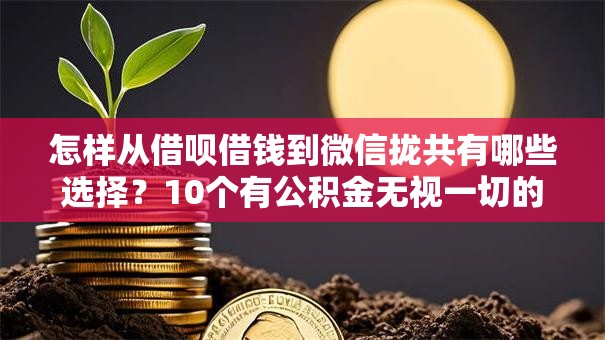 怎样从借呗借钱到微信拢共有哪些选择?10个有公积金无视一切的口子详解 怎样从借呗借钱到微信拢共有哪些选择?10个有公积金无视一切的口子详解