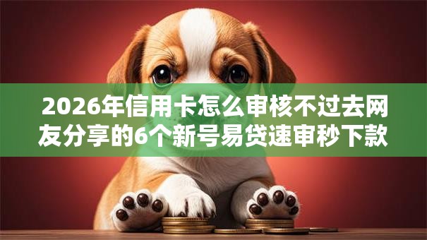 2026年信用卡怎么审核不过去网友分享的6个新号易贷速审秒下款平台我觉得不错！