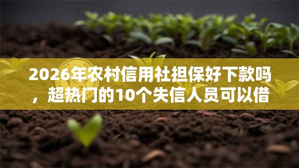 2026年农村信用社担保好下款吗,超热门的10个失信人员可以借钱的网贷软件推荐 2026年农村信用社担保好下款吗,超热门的10个失信人员可以借钱的网贷软件推荐