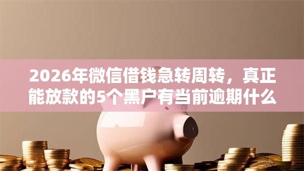 2026年微信借钱急转周转，真正能放款的5个黑户有当前逾期什么软件能做贷款推荐