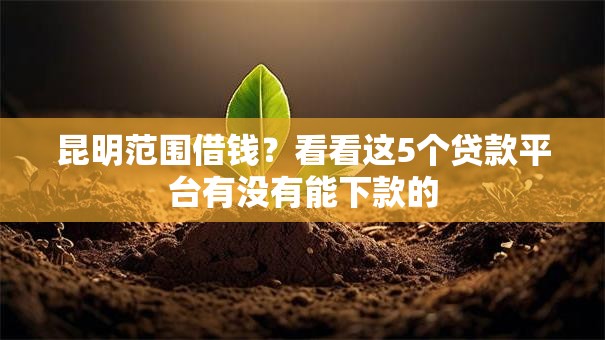 昆明范围借钱?看看这5个贷款平台有没有能下款的 昆明范围借钱?看看这5个贷款平台有没有能下款的