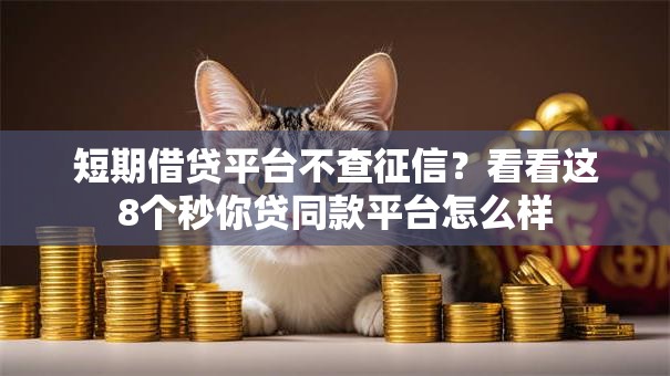短期借贷平台不查征信？看看这8个秒你贷同款平台怎么样