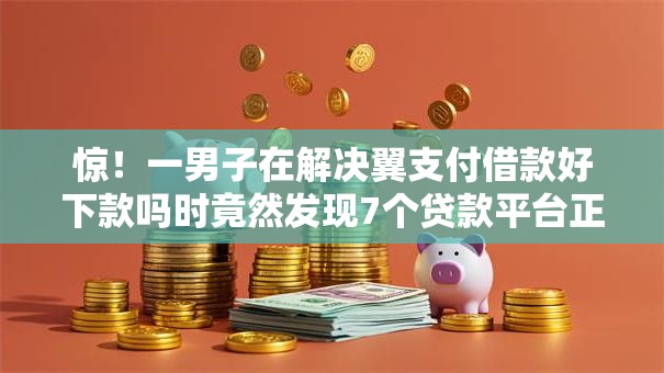 惊！一男子在解决翼支付借款好下款吗时竟然发现7个贷款平台正规，事后分享了出来
