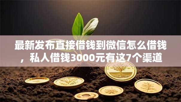 最新发布直接借钱到微信怎么借钱，私人借钱3000元有这7个渠道