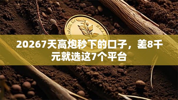 20267天高炮秒下的口子，差8千元就选这7个平台