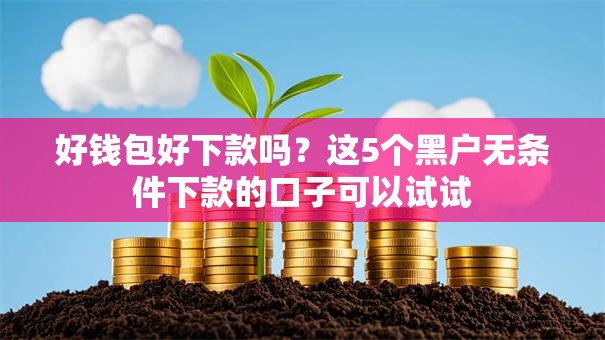 好钱包好下款吗？这5个黑户无条件下款的口子可以试试