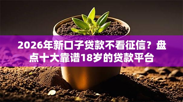2026年新口子贷款不看征信？盘点十大靠谱18岁的贷款平台