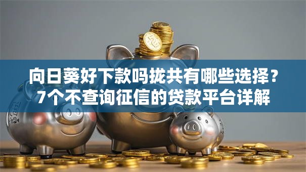 向日葵好下款吗拢共有哪些选择?7个不查询征信的贷款平台详解 向日葵好下款吗拢共有哪些选择?7个不查询征信的贷款平台详解