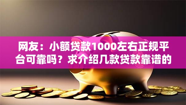 网友：小额贷款1000左右正规平台可靠吗？求介绍几款贷款靠谱的平台