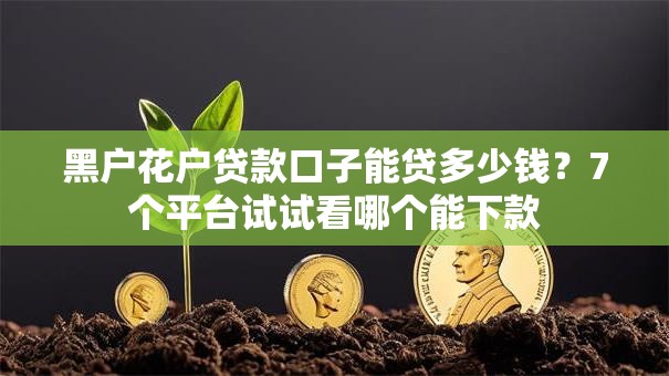 黑户花户贷款口子能贷多少钱？7个平台试试看哪个能下款