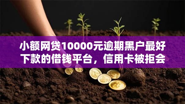 小额网贷10000元逾期黑户最好下款的借钱平台，信用卡被拒会有记录吗的6个平台介绍