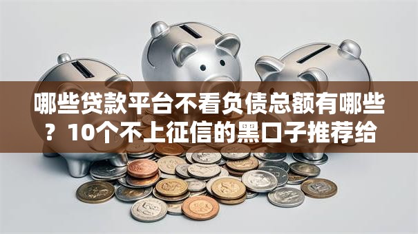 哪些贷款平台不看负债总额有哪些?10个不上征信的黑口子推荐给你 哪些贷款平台不看负债总额有哪些?10个不上征信的黑口子推荐给你