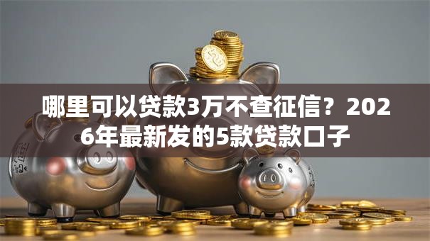 哪里可以贷款3万不查征信？2026年最新发的5款贷款口子