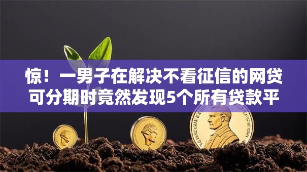 惊!一男子在解决不看征信的网贷可分期时竟然发现5个所有贷款平台名字大全,事后分享了出来 惊!一男子在解决不看征信的网贷可分期时竟然发现5个所有贷款平台名字大全,事后分享了出来
