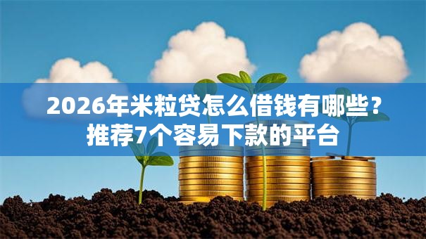 2026年米粒贷怎么借钱有哪些？推荐7个容易下款的平台