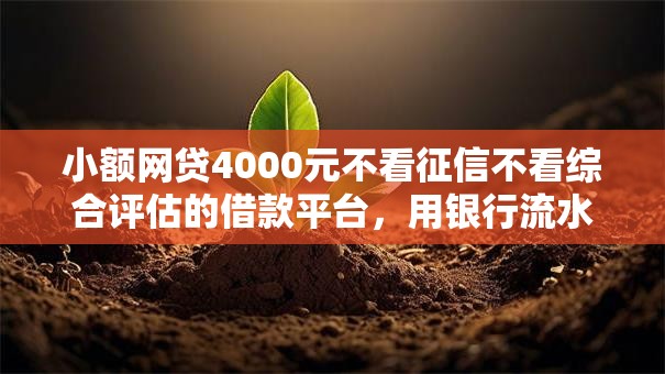 小额网贷4000元不看征信不看综合评估的借款平台,用银行流水可以贷款的7个平台介绍 小额网贷4000元不看征信不看综合评估的借款平台,用银行流水可以贷款的7个平台介绍
