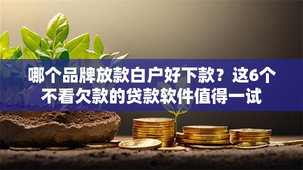 哪个品牌放款白户好下款？这6个不看欠款的贷款软件值得一试