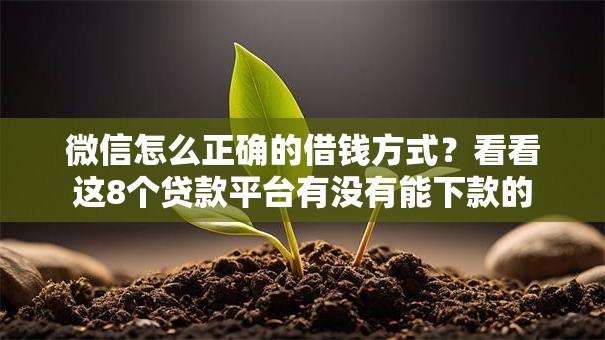 微信怎么正确的借钱方式？看看这8个贷款平台有没有能下款的