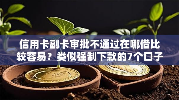 信用卡副卡审批不通过在哪借比较容易？类似强制下款的7个口子参考