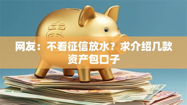 网友:不看征信放水?求介绍几款资产包口子 网友:不看征信放水?求介绍几款资产包口子