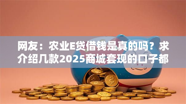 网友：农业E贷借钱是真的吗？求介绍几款2025商城套现的口子都有什么