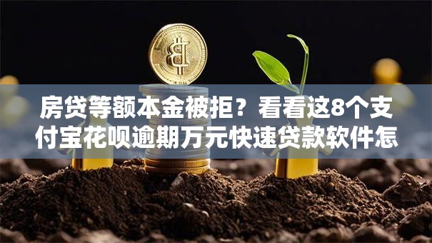 房贷等额本金被拒？看看这8个支付宝花呗逾期万元快速贷款软件怎么样