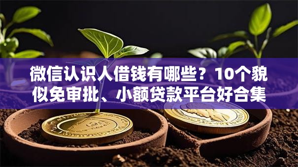 微信认识人借钱有哪些?10个貌似免审批、小额贷款平台好合集 微信认识人借钱有哪些?10个貌似免审批、小额贷款平台好合集