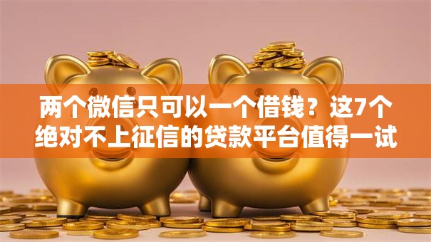 两个微信只可以一个借钱？这7个绝对不上征信的贷款平台值得一试