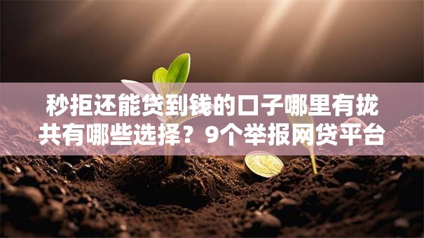 秒拒还能贷到钱的口子哪里有拢共有哪些选择？9个举报网贷平台详解