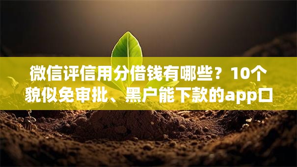 微信评信用分借钱有哪些?10个貌似免审批、黑户能下款的app口子入口合集 微信评信用分借钱有哪些?10个貌似免审批、黑户能下款的app口子入口合集